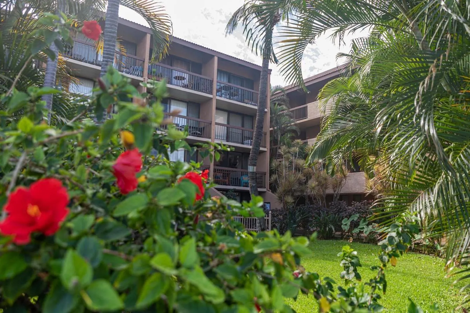 Maui Vista 3403 Villa Kihei